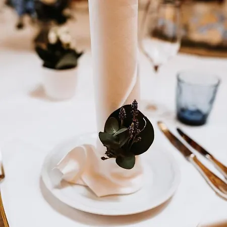 萨尔茨堡布里斯托尔酒店 萨尔茨堡